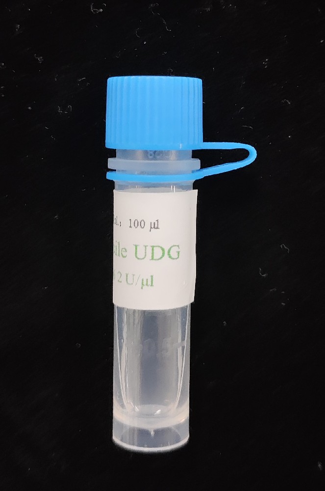 热敏UDG酶